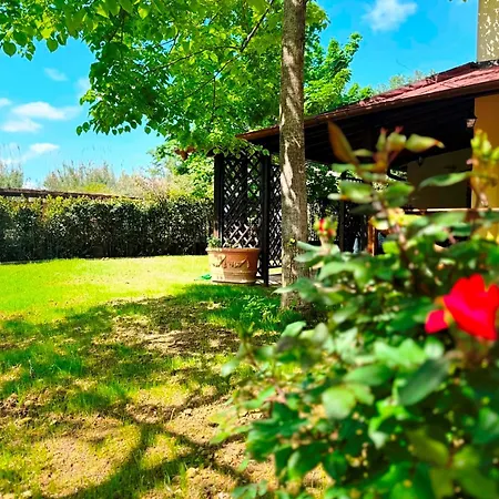 Elsa, Giardino E Relax